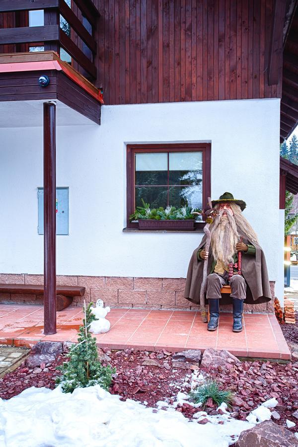 Vila Jensen Harrachov Εξωτερικό φωτογραφία